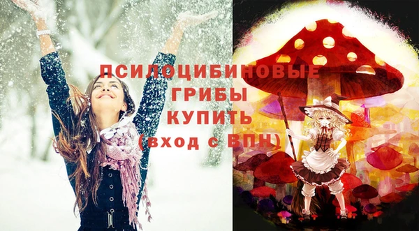 экстази Арсеньев