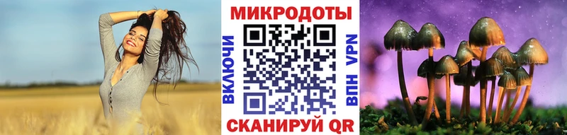 Галлюциногенные грибы мухоморы закладки Сертолово
